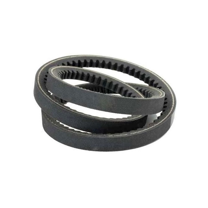 1228708 | BV10-03175-3VX1250 (Each) --- Wedge Belts - 3175 mm - - - 9.5 x 7.9mm - Natural Rubber - Fabric Jacket Belt