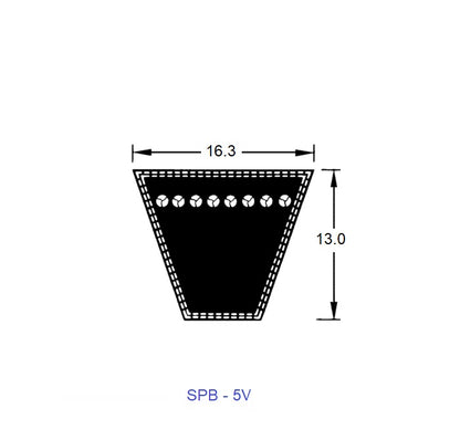 1228118 | BV16-01986-5V800 (Each) --- Wedge Belts - 1986 mm - 16.3 x 13.0mm - Natural Rubber - Fabric Jacket Belt