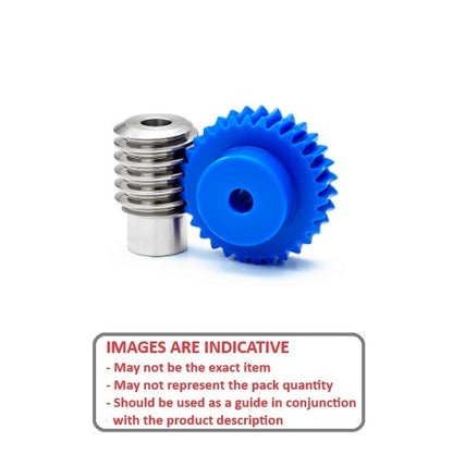 1038826 | WGS1-100-030-060-R-ACS (Each) --- Worm Sets Gears - Pitch Module 1.0 - 30 tooth - 6.00 / 6.00 Module 1 - Polyacetal Gear and Steel Worm