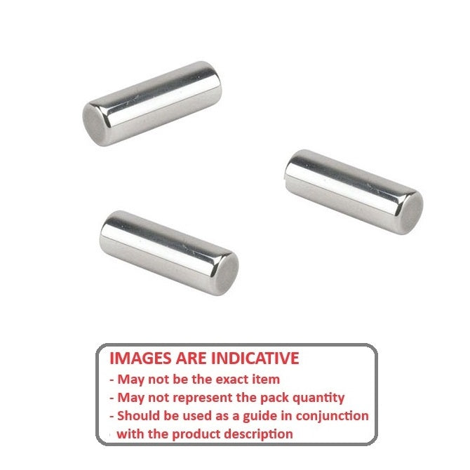 1049131 | RLR-0350-2300-ST-F (PK-100) --- Steel Rollers - 3.5x23 mm - 63 - 66 - Chrome Steel SAE 52100 Roller
