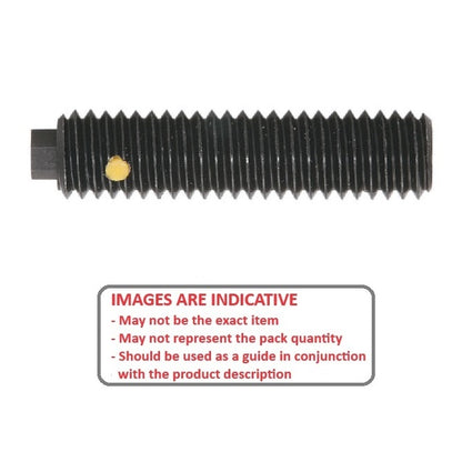 1102945 | PLST-127C-436-CHX2-071 (Each) --- Spring Plungers - 1/2-13 UNC - 12.7mm - 43.6 mm - 2.2 N No Handle - Steel Plunger