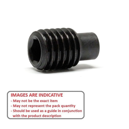 1061845 | SS050M-0250-AS-DP (PK-5) --- Dog Point Carbon Steel Socket Set Screws - M5 - 5x0.8mm - 22.3 mm  - Carbon Steel Screw