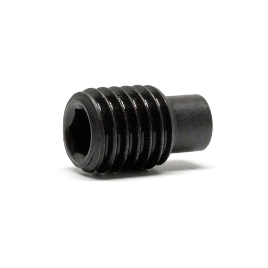 Dog Point Carbon Steel Socket Set Screws - M8 - 8x1.25mm - 35.7 mm   - Carbon Steel