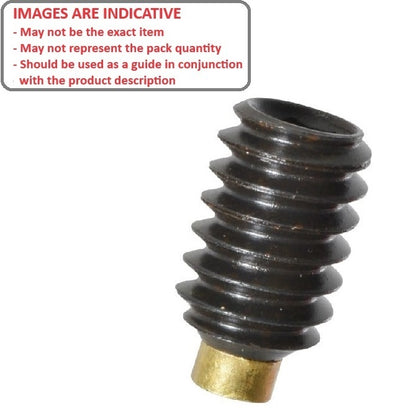 1091257 | SS100M-0200-AS-BT (Each) --- Brass Tipped Socket Set Screws - M10 - 10x1.5mm - 20 mm Alloy Steel - Carbon Steel Screw