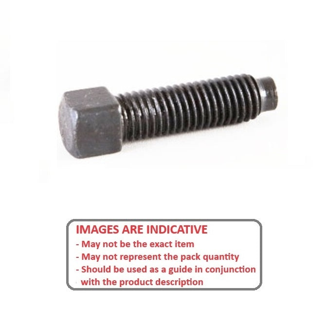 1073624 | SC064C-051-SQ-C-DP (Each) --- Set Screws - 1/4-20 UNC - 6.35mm - 50.8x6.35 mm Dog Point