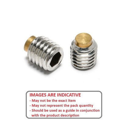 1043236 | SS030M-0050-S4-BT (Each) --- Brass Tipped Socket Set Screws - M3 - 3x0.5mm - 5 mm  - Stainless Steel 304 Similar to A2, 18-8 HRB80 Screw