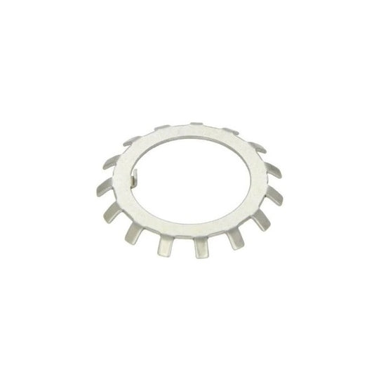 Lock Washers - 55x79 mm - 17 Nr. - Spring Steel